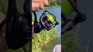 Carp fishing fishing fishingvideo рибалка angler fishinglife shorts youtube viralvideo [upl. by Jaynes]