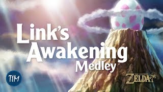 Links Awakening Medley from The Legend of Zelda Concert 2018  Tokyo Philharmonic Orchestra [upl. by Ree]