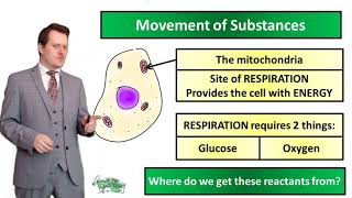 Movement of Substances Diffusion  Biology  Key Stage 3  Mr Deeping [upl. by Ytissac]