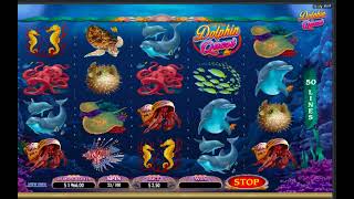 🐬 Dive Into Wins with Dolphin Quest Slot by Microgaming 🌊💰 [upl. by Melesa496]