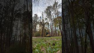 Dislodging a Stuck Tree excavator treework timber [upl. by Harrington453]