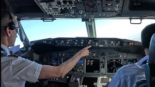 Boeing 737 Takeoff and Landing  Turbulent Approach To Paris  Cockpit View  GoPro 12 [upl. by Einnil]