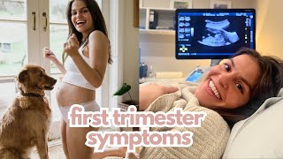 First Trimester Recap  Pregnancy Symptoms amp Signs [upl. by Thursby]