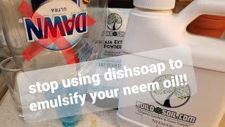 Youre Making Neem Oil Foliar Spray Wrong How to Properly Emulsify Neem for Maximum Effect [upl. by Ameluz]