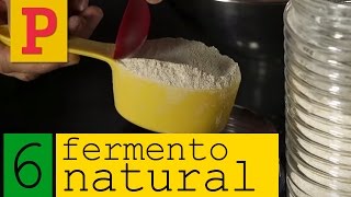 Como fazer fermento natural  Vídeo 6 [upl. by Airalednac]