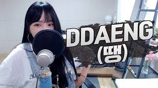 BTS방탄소년단  DDAENG땡 COVER by 새송｜SAESONG [upl. by Edualcnaej644]