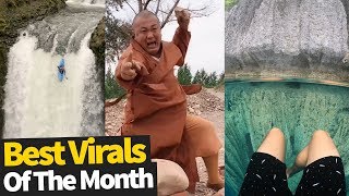 Top Viral Videos Of The Month  August 2019 [upl. by Leipzig]