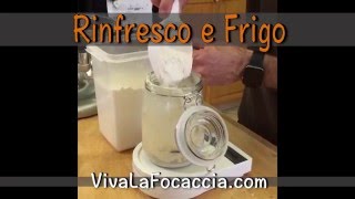 Lievito Naturale Tutorial 4  Rinfresco e Frigo [upl. by Mohn565]