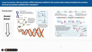 20 DNA Packaging and Control of Transcription Video [upl. by Drahnreb]