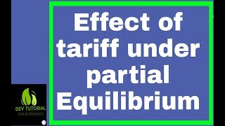 Effects of tariff under partial equilibrium [upl. by Amilas]