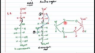 13 Sugar derivatives Part 2 [upl. by Ailiec710]