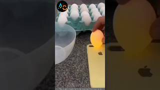 🤯 അവസാനം വരെ നോക്കൂ 💥😱😲  How to find spoiled eggs  shorts facts shortsfeed [upl. by Llednor768]