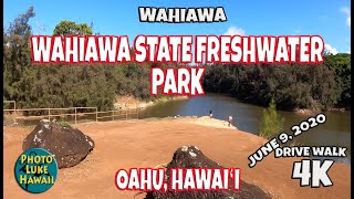 Wahiawa Freshwater State Park June 9 2020 Things to do in Hawaii Fishing on Oahu [upl. by Dnomad645]