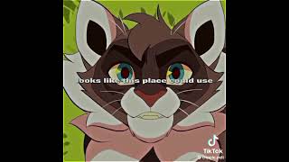 Warrior cats TikTok compilation part 13 [upl. by Seena]