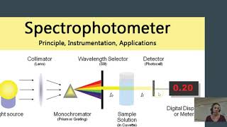 How can spectrophotometry be used to measure enzymatic activity [upl. by Notsa321]