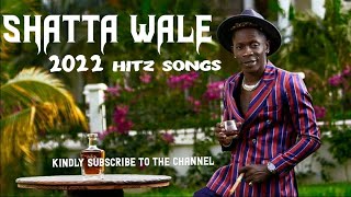 Shatta wale 2022 hitz songs mix [upl. by Nahtnaoj]