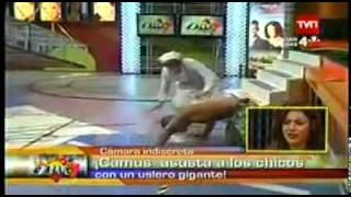 CALLE 7 CAMARA INDISCRETA [upl. by Uttasta]