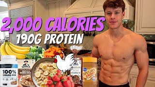 Full Day of Eating 2000 Calories  EXTRA High Protein Diet for Fat Loss [upl. by Anahsirk106]