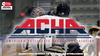 Niagara University vs Stony Brook University  ACHA Mens Ice Hockey 2024 [upl. by Walt176]