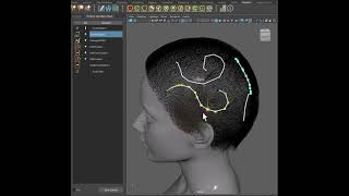 Dev Preview Curved sinks in Ornatrix Maya V5 Beta [upl. by Dremann797]