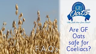 Are these Oats Safe for Coeliacs [upl. by Somar]