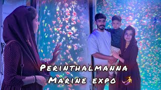 മൽസ്യ കന്യകമാർ നമ്മുടെ അടുത്ത് 🧜‍♀️ MARINE EXPO PERINTHALMANNA marineexpo perinthalmanna vlog [upl. by Notled]