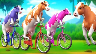 3 Giant Color Cows Race to Victory in a Funny Cycle Challenge Funny Cow Cartoon Videos [upl. by Wiltsey838]