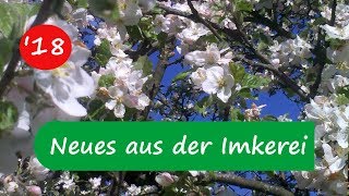 Neues aus der Imkerei 18  Es geht los Durchsicht Bienenvolk Honigraum [upl. by Xirtaeb517]