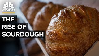 The Rise Of Sourdough [upl. by Adlanor]