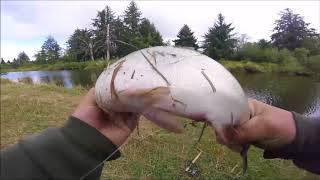 Float Fishing for Chinook in the Klaskanine River [upl. by Aleac546]