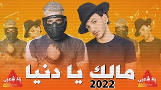 اجدد مهرجانات 2024 quotمالك يا دنياquot شارع مزيكا  مهرجانات 2024  اغاني شعبي 2024 [upl. by Ailongam]