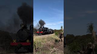 0311 Steamranger Heritage Railway Highlander with RX207 and 507 at Stirling Rd [upl. by Ynafetse]