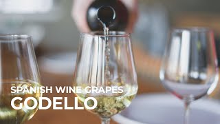 Spanish Wine Grapes Godello [upl. by Aicelet]