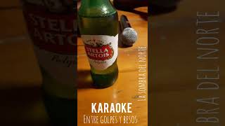 Entre golpes y besos Karaoke [upl. by Ylrebmek399]