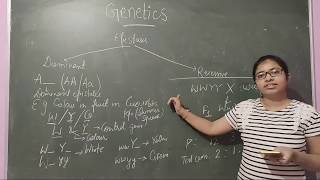 Gene interactionCytoplasmic inheritancePrinciple of inheritanceL5NEETBiologyClass 12Live4Jun [upl. by Yeliw105]