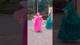 Disneyland Paris Fairy Godmothers What an entrance Disney Stars on Parade [upl. by Ellivnarg150]