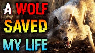 The Wolf that Saved My Life [upl. by Ahmar]