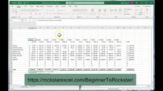 Create an Expense Tracker in Excel in 14 Minutes [upl. by Hcra]