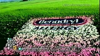 2003 Benadryl Allergy Commercial [upl. by Anitsihc]