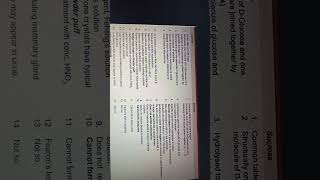 DisaccharidesDifference between Sucrose and Lactose Class 11 Biology A O levels MDCAT [upl. by Lose]