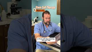 What is Stem Cell Therapy for Dogs by Marc Smith DVM MS [upl. by Haze140]