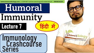 Humoral immunity in Hindi  Immunology lecture 7 [upl. by Pandora561]