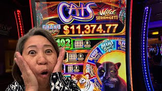 trick or treat bonus on cats wild serengeti slot machine  Banana Slots casino money vegas [upl. by Beaner]