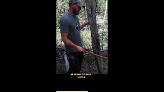 I Mastered Fire Techniques In The Aspen Wilderness [upl. by Iasi]