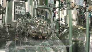 cGMP Manufacturing in Panoli India [upl. by Ardys600]