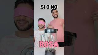 SI o No 😂💖🎀 sisomosgemelos siono tendencia reto [upl. by Innavoj]