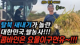 탈북 1년차와 10년차가 모두 놀란 대한민국의 쌀 농사법 몇십명에 몇달해야 할 농사를 하루에 다 하는 콤바인은 대체 뭘까 김영철콤프레샤 소통상회 탈북 [upl. by Grae]