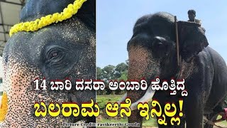 Balarama elephant died Mysore Dasra elephant deid  ಬಲರಾಮ ಆನೆ ಸತ್ತುಹೋಯಿತು [upl. by Megan]