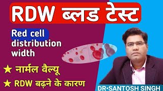 What is RDW blood test in Hindi  RED CELL DISTRIBUTION WIDTH  Cause of High level [upl. by Bridgid960]