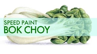 Food Illustration Painting Bok Choy with Watercolor and Mixed Media [upl. by Finnie]